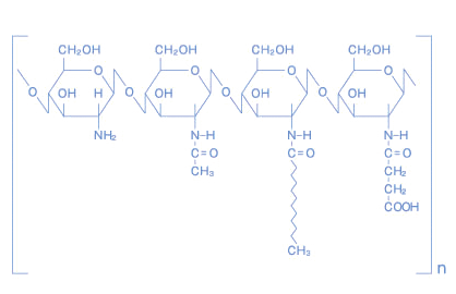 テクノロジー