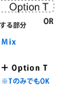 Option T